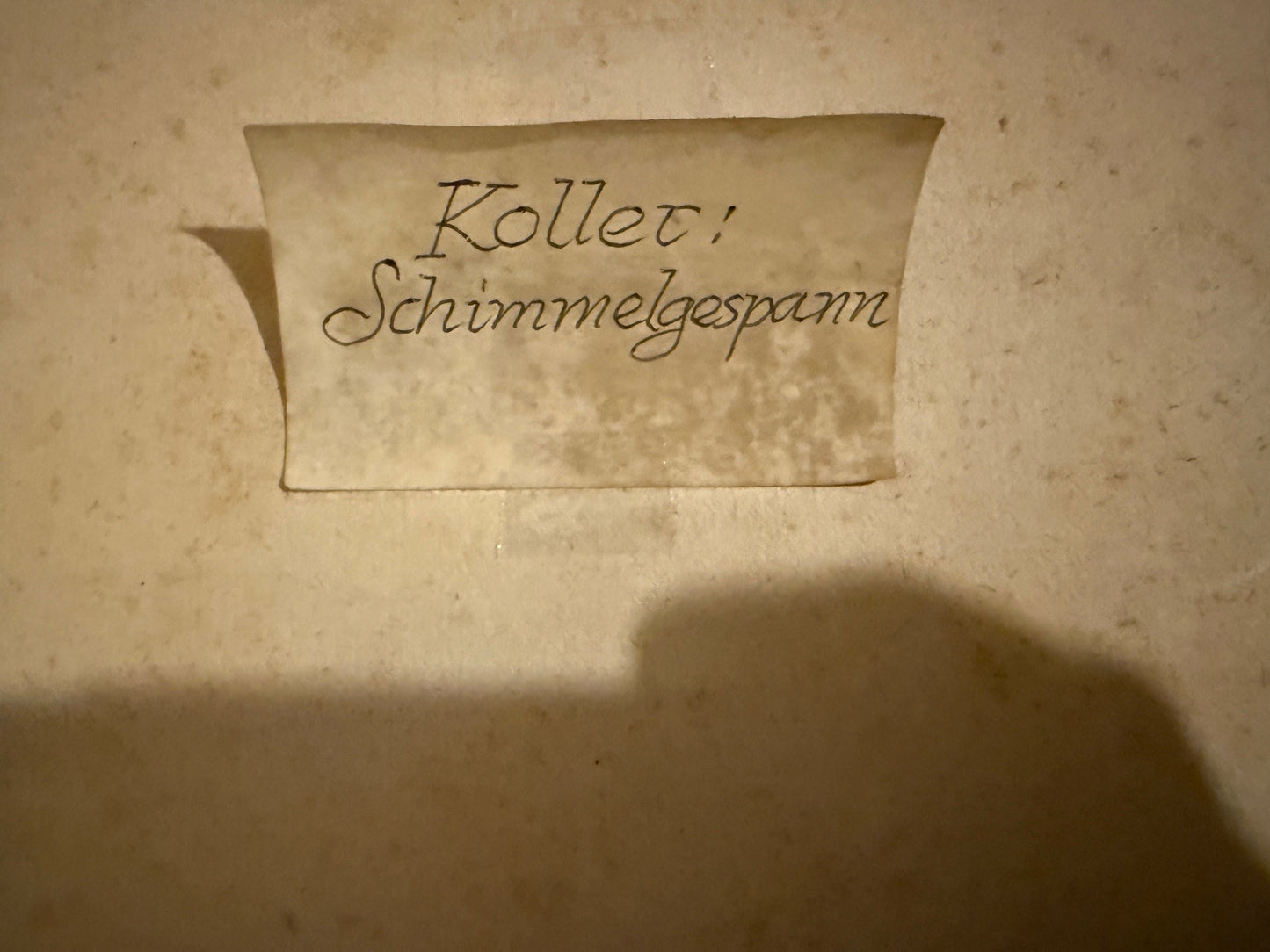 Rudolf Koller Schimmelgespann, tirage rare de JE Wolfensberger